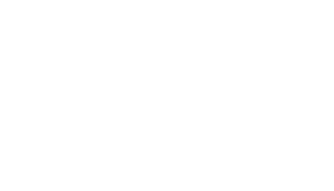 Logo DSP